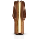 eva solo Radiant 28,5cm