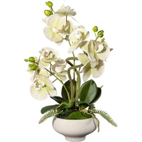 CREATIV green künstliche Pflanze Orchidee Phalaenopsis x3, ca 50cm grün, Real Touch, arrangiert mit Laub und Wurzel