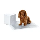 Amazon Basics Trainingspads für Hunde 40 Stück Grau