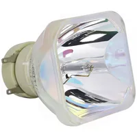Philips Beamerlampe (nur Leuchtmittel) für HITACHI (ersetzt: DT01123)