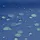 TOOLPORT Faltpavillon Economy 3 x 3 m inkl. 4 Seitenteile blau 59001