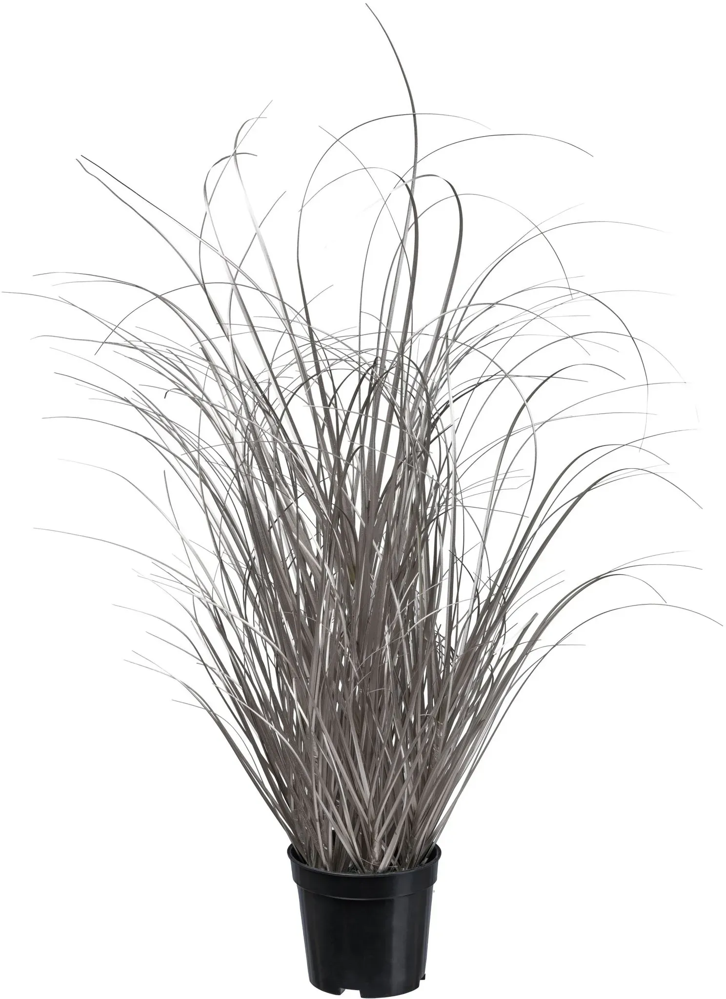 Kunstgras CREATIV GREEN "Gras", silber, H:73cm, Kunststoff, Kunstpflanzen, in moderner Farbgebung