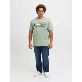 Jack & Jones PlusSize JACK & JONES Jjelogo Tee Ss Oneck 2 Col Aw25 Noos Pls - Plus Size
