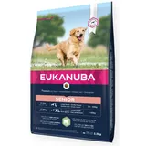 Eukanuba Hundefutter mit Lamm & Reis für große Rassen - Trockenfutter für Senior Hunde, 2,5 kg