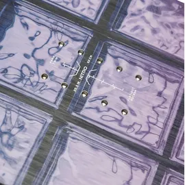 Nitro CHEAP TRILLS Snowboard 2025 157