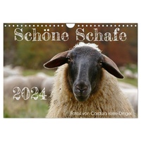 Calvendo Schöne Schafe (Wandkalender 2024 DIN A4 quer), CALVENDO Monatskalender