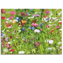 Artland Wandbild »Blumenwiese I«, Blumenwiese, (1 St.), als Leinwandbild, Poster in verschied. Größen Artland Farbe Bild(er): grün