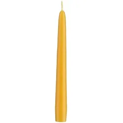 Kopschitz Kerzen Kerzen Spitzkerzen Mais, 240 x 23 mm, 12 Stück