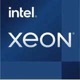 Intel Xeon E-2456, 6C/12T, 3.30-5.10GHz, tray (CM8071505024905)