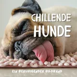 27amigos Chillende Hunde