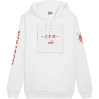Puma öfb Ftblicons Hoody puma white (09) L