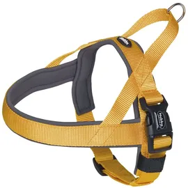 Nobby Classic Preno Hundegeschirr Orange/Grau 38-50 cm