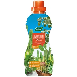 Westland Kakteen- & Sukkulenten Wasser 720 ml Dünger