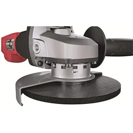 Flex L 13-10 125-EC + FixTec Mutter