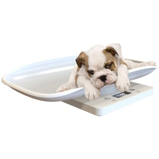 Petyoung Multifunktionale Digitale Haustierwaage, um das Gewicht von Hund und Katze genau bis zu 10 kg zu messen, LCD-Display, Haustier-Waage mit bequem gebogener Schale
