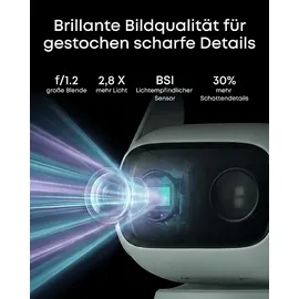 eufy C31 Grün