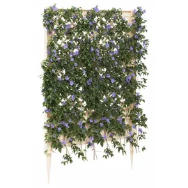 vidaXL Trellis mit Spike 99 x 6 x 165 cm Weiß