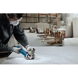 Bosch GWS 750-125 Professional