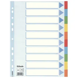 Esselte 100193 Register Karton A4
