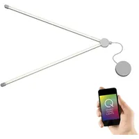 Paul Neuhaus Q-SPIDER LED-Deckenleuchte Starter-Set dimmbar 1 St. Grau/Silber