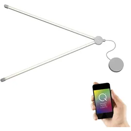 Paul Neuhaus Q-SPIDER LED-Deckenleuchte Starter-Set dimmbar 1 St. Grau/Silber