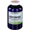 Gerstengras 250 mg GPH Kapseln