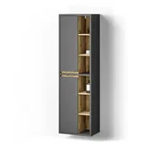 livinity® Badschrank, Anthrazit, Eiche Artisan, 10 Fächer, Rechteckig, 50x170x33 cm, Badezimmer, Badezimmerschränke, Hochschränke