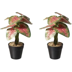 Künstliche Zimmerpflanze CREATIV GREEN "Caladium Pflanze", grün (grün, rot), H:30cm Ø:17cm, Kunststoff, Kunstpflanzen