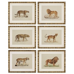 Casa Padrino Deko Bilder Set Löwen Tiger Jaguare Antik Gold 54 x H. 44 cm - Luxus Wanddekoration