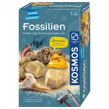 Kosmos Fossilien