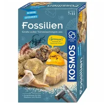 Kosmos Fossilien