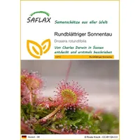 SAFLAX - Rundblättriger Sonnentau - 50 Samen - Drosera