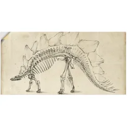 Artland Wandbild »Dinosaurier Lehre III«, Dinosaurier, (1 St.), als Alubild, Outdoorbild, Wandaufkleber in verschied. Größen Artland Farbe Bild(er): naturfarben