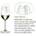 Riedel Performance Sauvignon Blanc Weinglas 0,44 l 2 St.