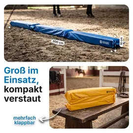 Dönges Balken Set 4 Stück Leder 300 x 17 x 10 cm Gelb/Blau