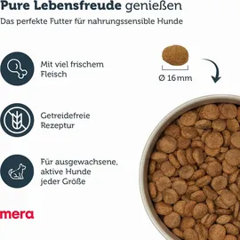 MERA pure sensitive fresh meat Truthahn & Kartoffel 4 kg