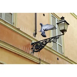 SWISSINNO Taubenabwehr-Spikes 100 cm 1 St.