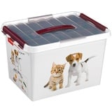 Sunware Q-Line Pet Decor Box mit Einsatz, weiß/Bordeaux, Einheitsgröße