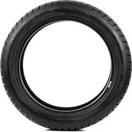 Delinte WD6 205/55 R17 95H