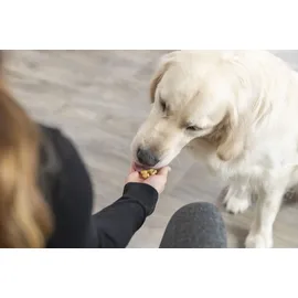 Trixie Backmatte Knochen