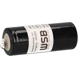 Akku LiFePO4 3,2V 3,3Ah Not- und Sicherheitsbeleuchtung für RP LFP3233