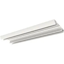RIDI Homelight Ridi-Leuchten Medientragprofil SURVIVOR TP60-100WS