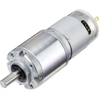 TRU Components IG320100-F1F21R Gleichstrom-Getriebemotor 24 V 250 mA 0.4314926