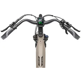 RUHRWERK MT800 28 Zoll RH 50 cm Damen grau