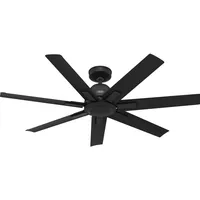 Hunter Fans Hunter DC Deckenventilator Sahira Schwarz mit Fernbedienung,