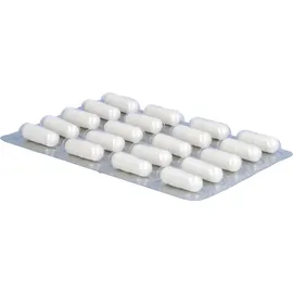 Twardy Kieselerde-Magnesium-Calcium Kapseln 60 St.