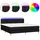 vidaXL Boxspringbett mit Matratze & LED Schwarz 180x200 cm Stoff