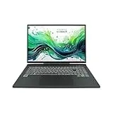 JodaBook Gaming X N17 | 17,3" WQXGA 240Hz | Core i9 14900HX | RAM: 64GB (DDR5) | SSD: 1TB | NVIDIA RTX 4080 | RGB beleuchtete Tastatur | Windows 11 Pro #mit Rucksack