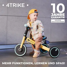 Kinderkraft 4Trike Dreirad Silver Grey