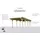 Karibu Classic Doppel 3 Set 5,4 x 7,78 m kdi inkl. 1 Einfahrtsbogen und PVC-Dachplatten